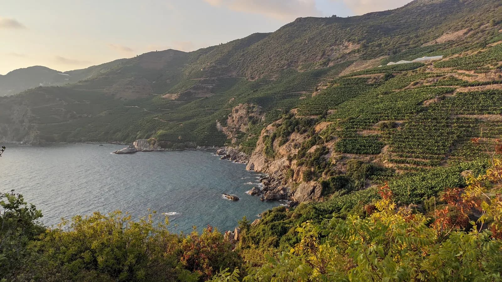 Gazipaşa'da Kral koyu: kayalıklar arasında küçük bir koy ve turkuaz deniz