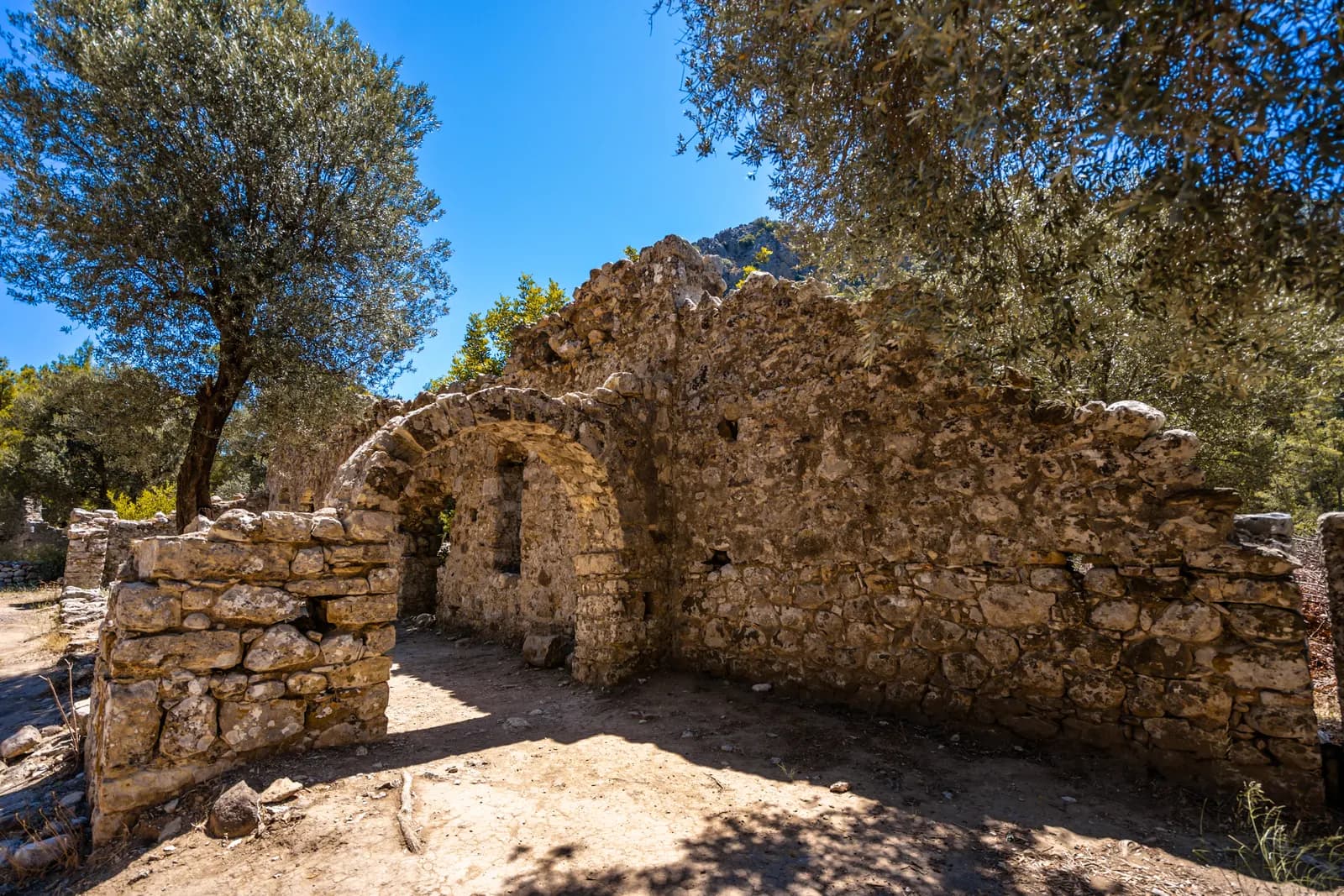Kumluca'daki Olympos Antik Kenti'nde ağaçlarla çevrili taş yapı